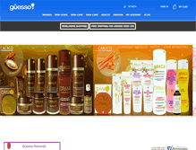 Tablet Screenshot of guesso.com